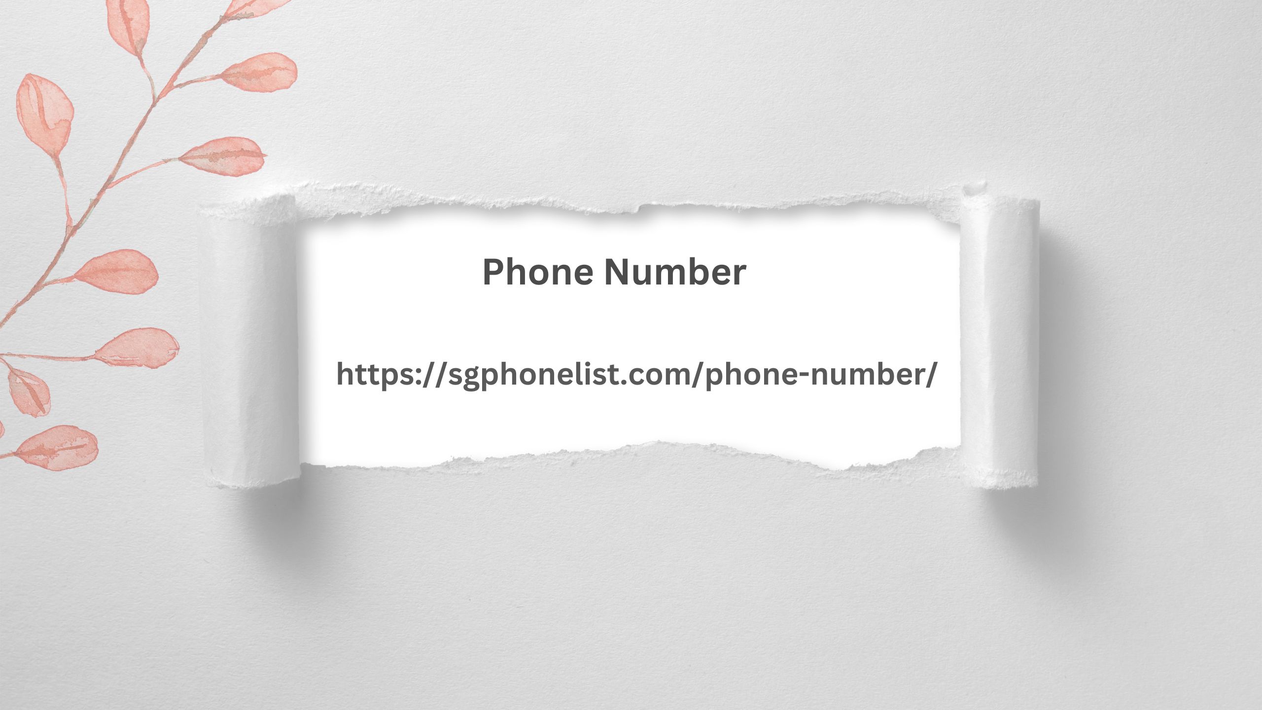 Phone Number